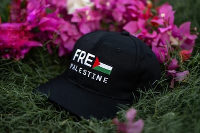 FREE PALESTINE CAP 🇵🇸_img_1