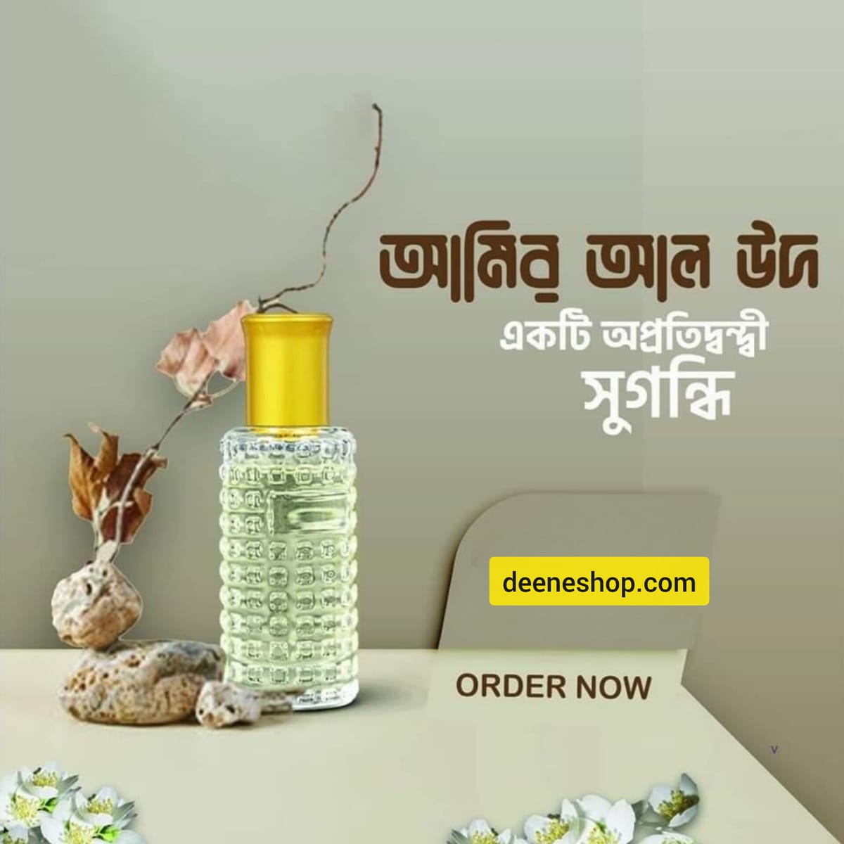 আমির আল অউদ