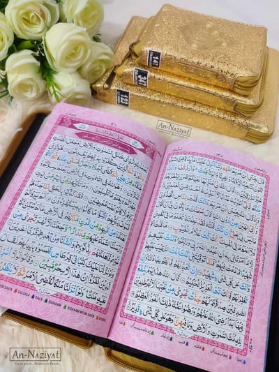 ১০ ইঞ্চি কালার কোডেড গোল্ডেন কভার কুরআন_img_1